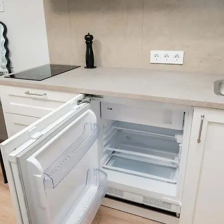 Modern And New In Gudu Str With Balcony 2 * Βίλνιους